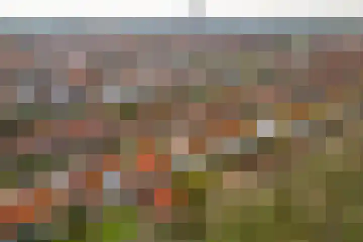 Witte de Withstraat 10 a Brielle thumbnail 35