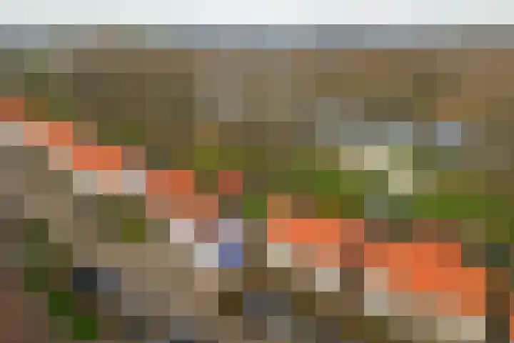 Witte de Withstraat 10 a Brielle thumbnail 36