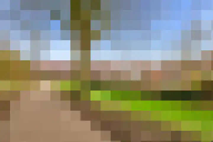 Witte de Withstraat 10 a Brielle thumbnail 5
