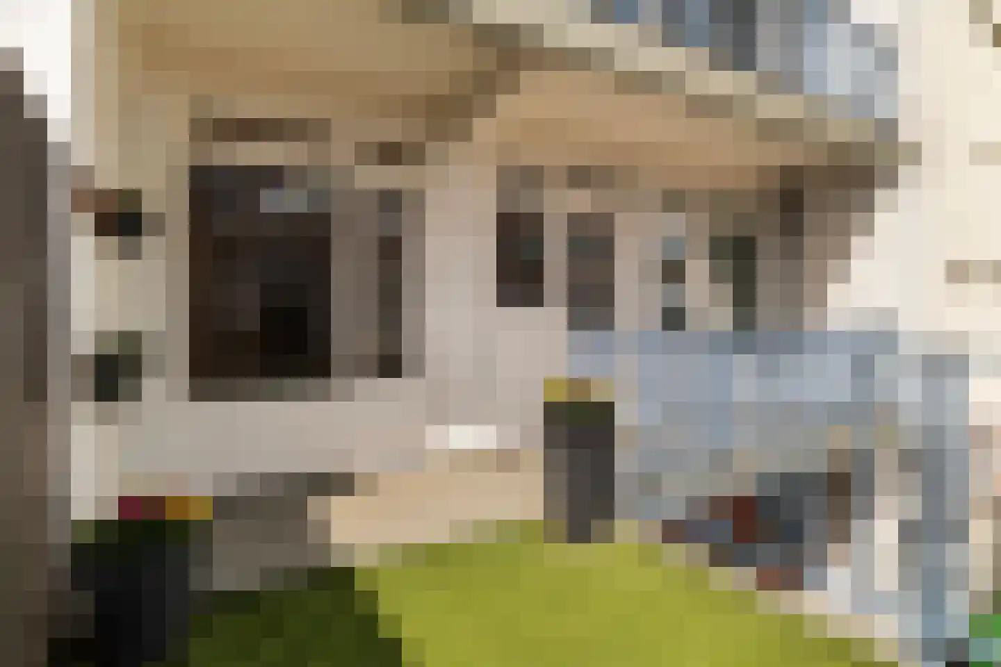 Witte de Withstraat 10 A Rotterdam thumbnail 23