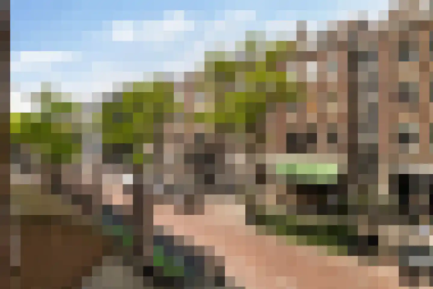 Witte de Withstraat 10 C Rotterdam thumbnail 33