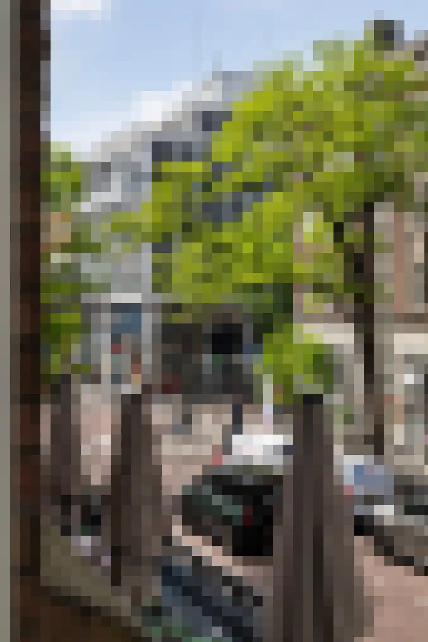 Witte de Withstraat 10 C Rotterdam thumbnail 9