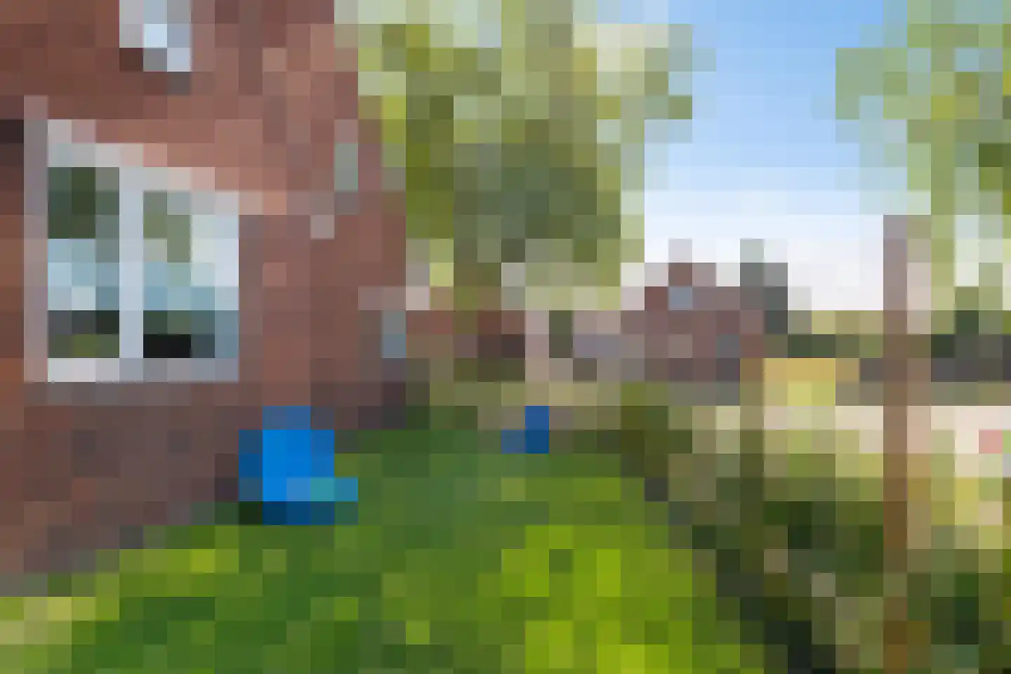 Witte de Withstraat 106 Winschoten thumbnail 29