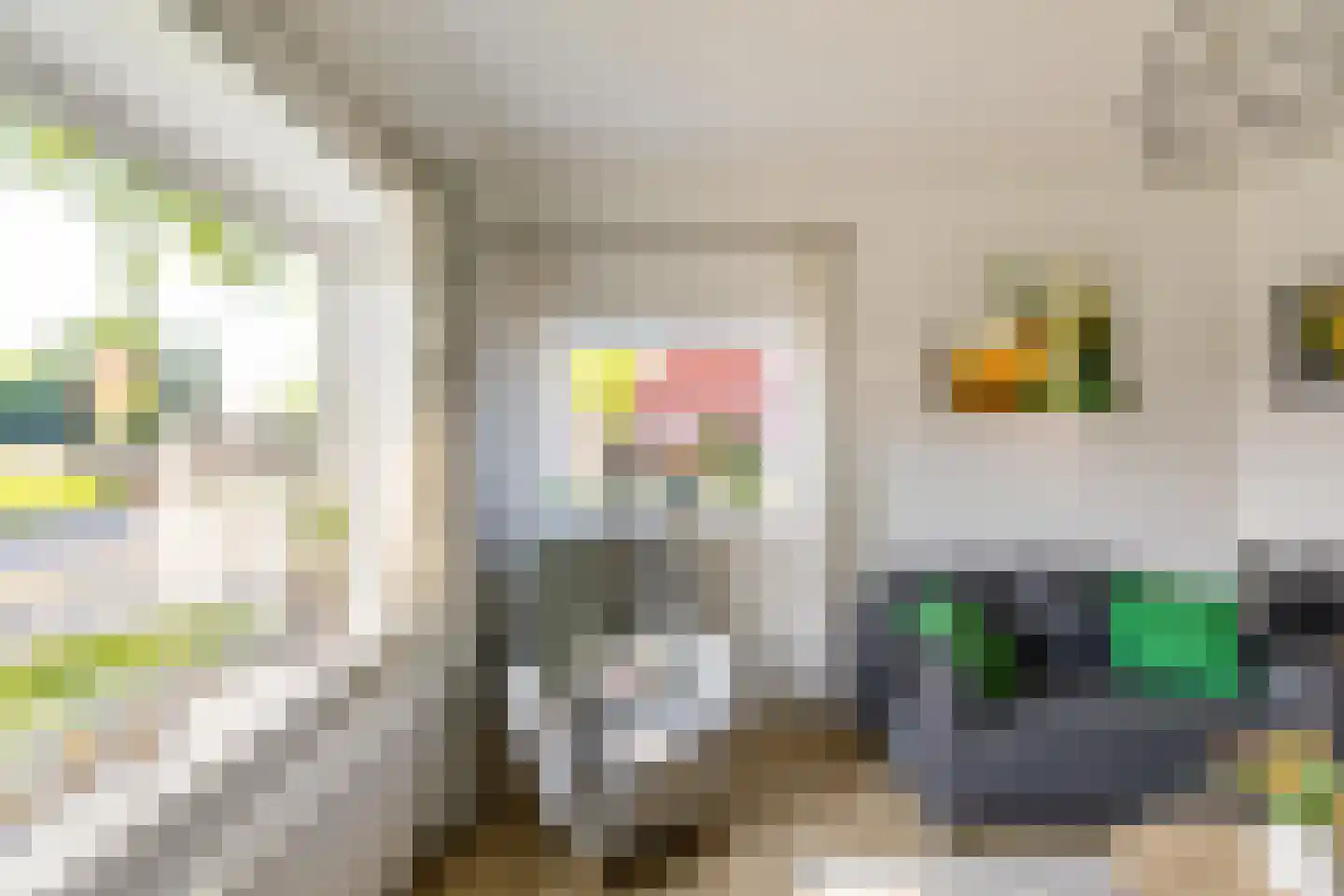 Witte de Withstraat 106 Winschoten thumbnail 8