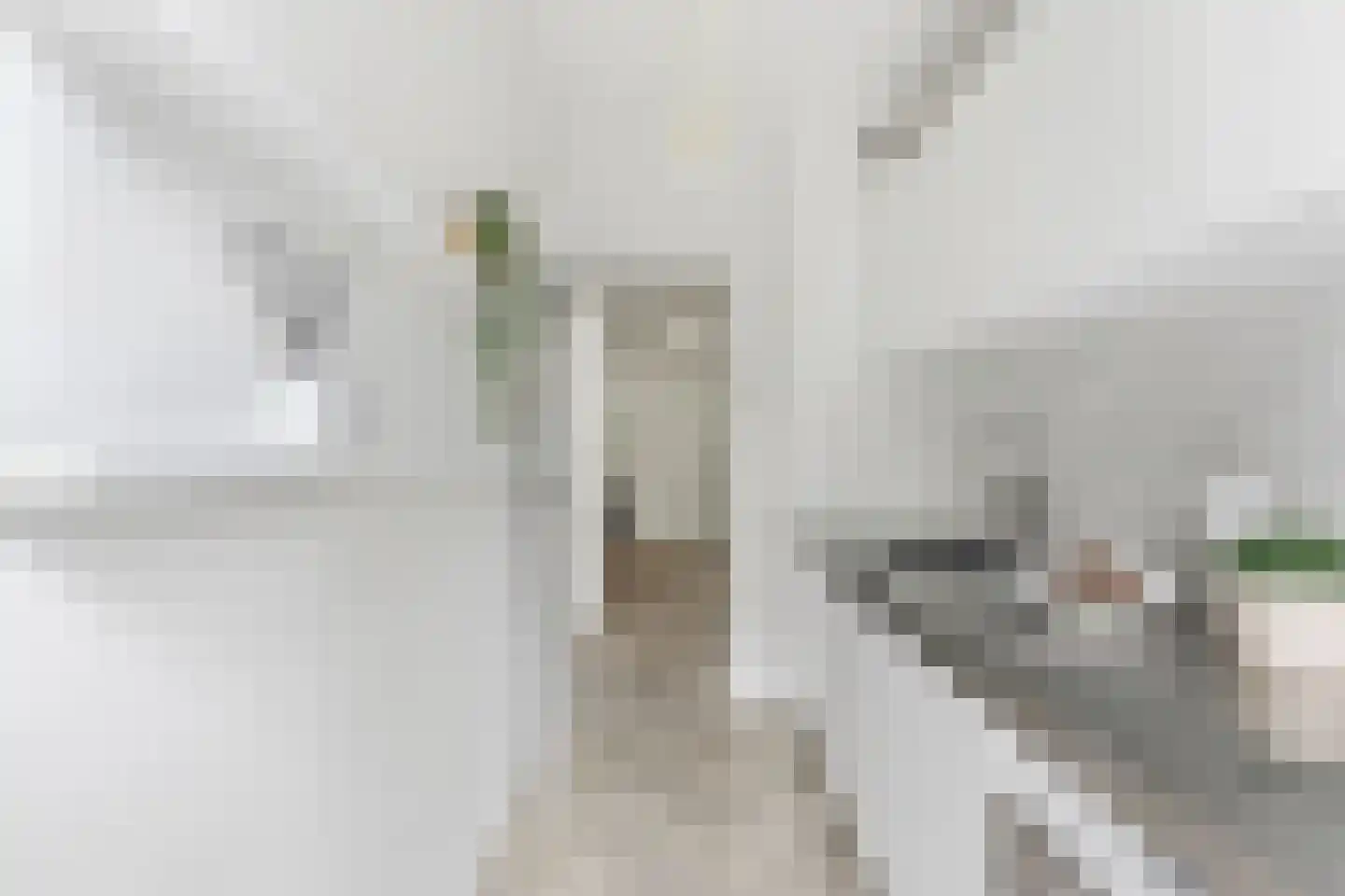 Witte de Withstraat 11 C Rotterdam thumbnail 19