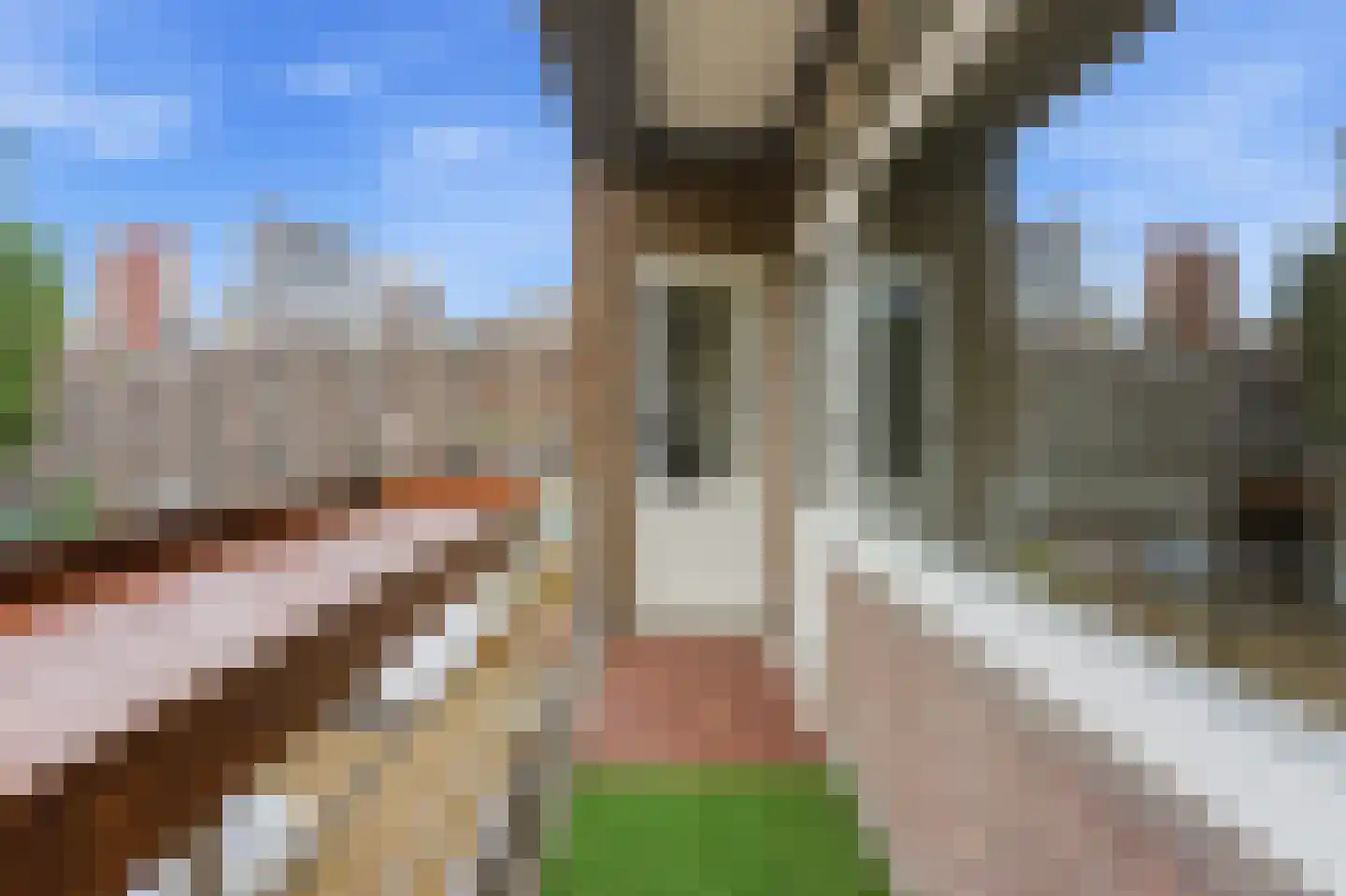Witte de Withstraat 11 C Rotterdam thumbnail 27