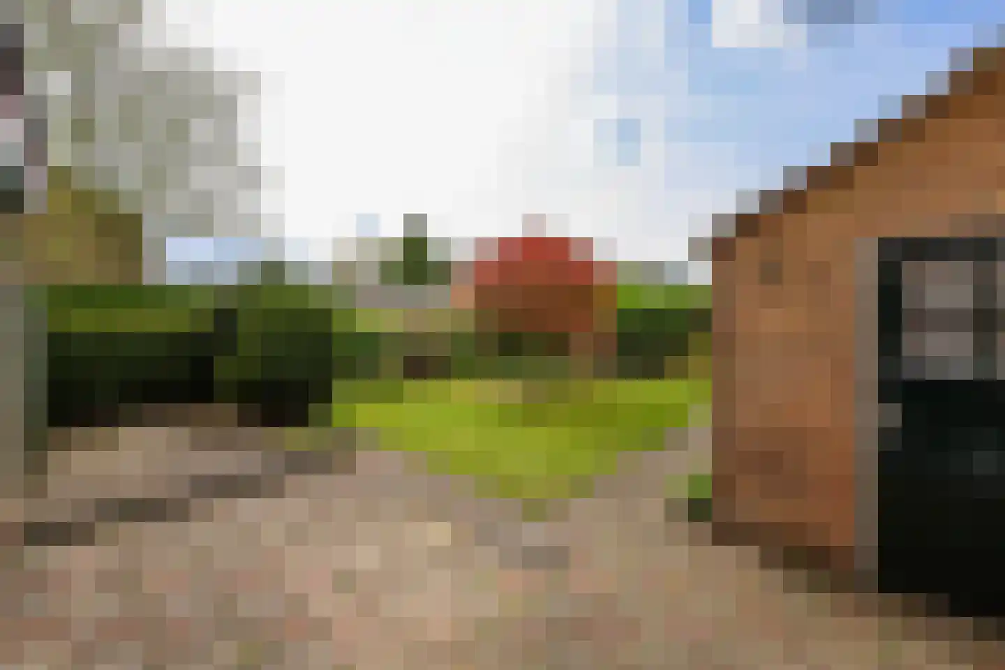 Witte de Withstraat 11 Huizen thumbnail 29