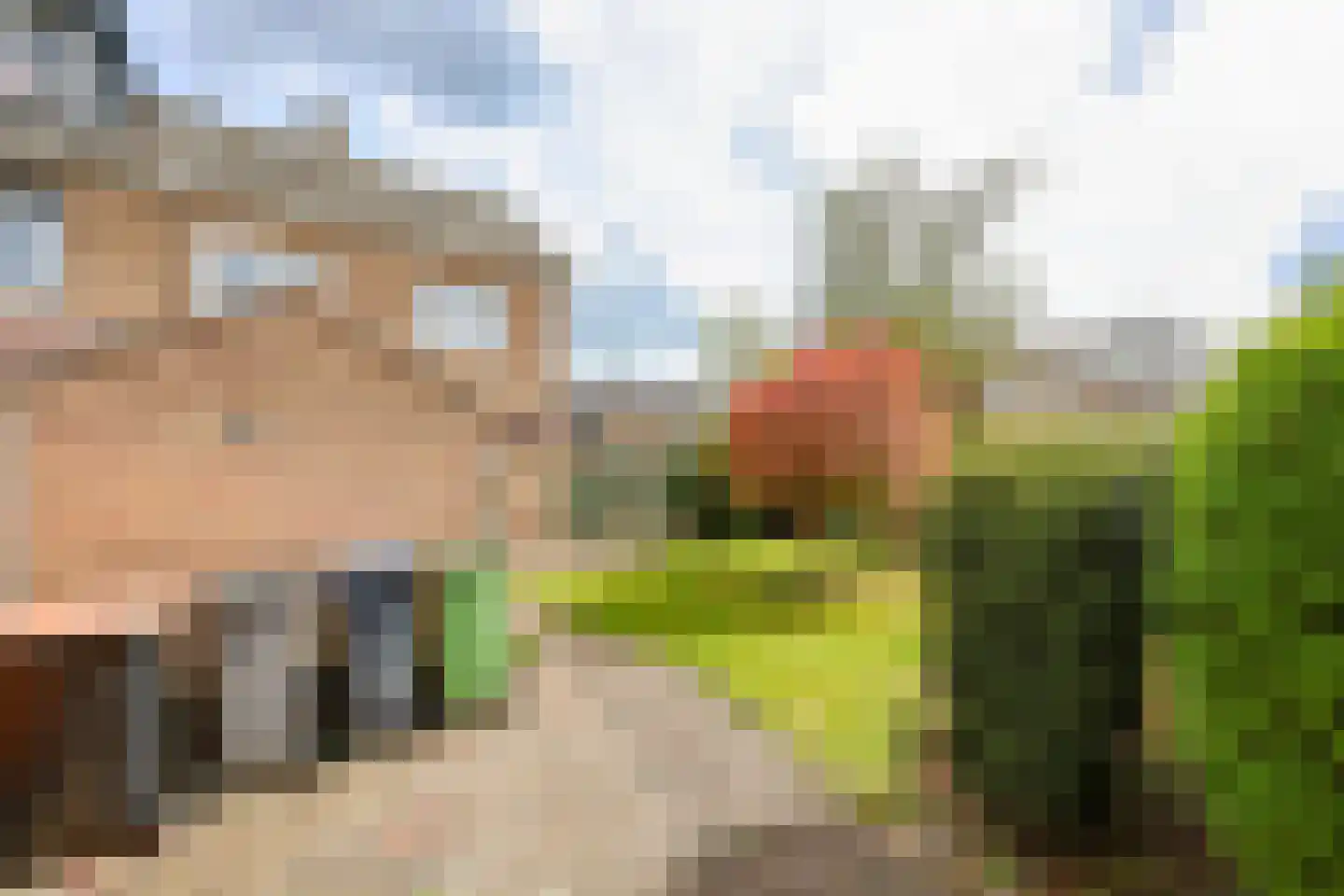 Witte de Withstraat 11 Huizen thumbnail 31