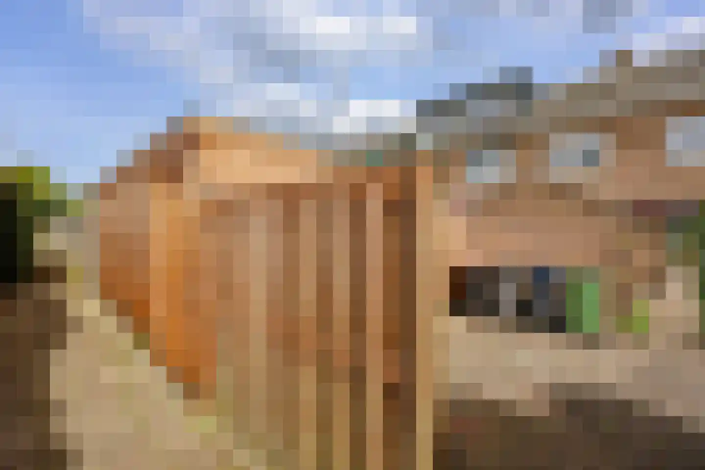 Witte de Withstraat 11 Huizen thumbnail 34