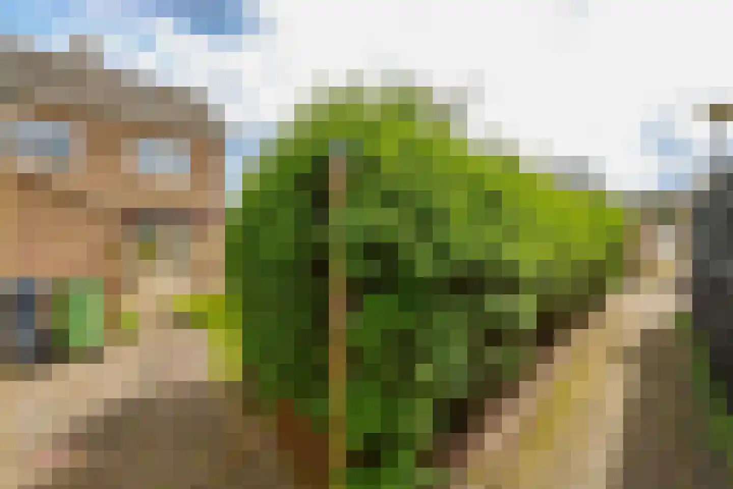 Witte de Withstraat 11 Huizen thumbnail 35