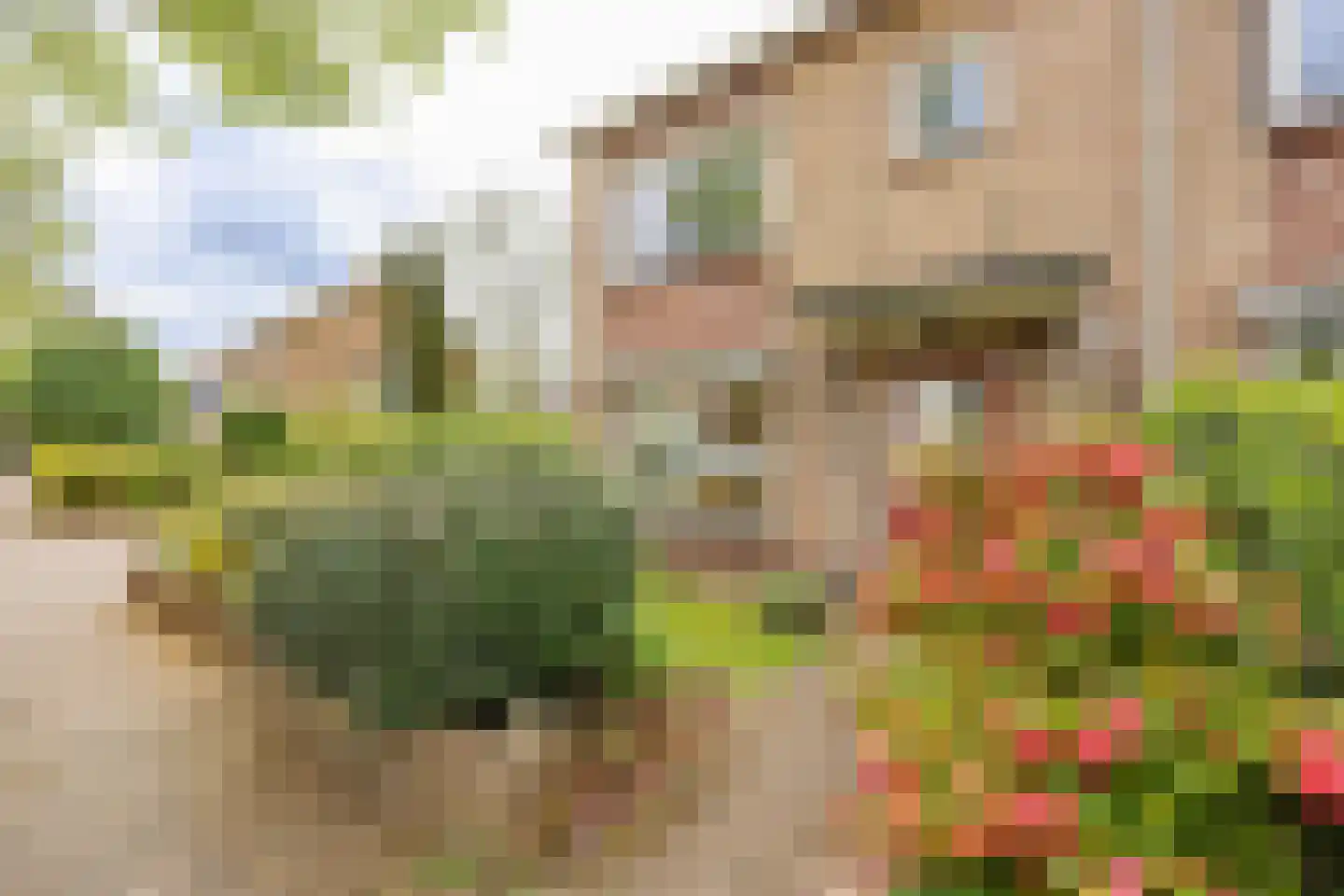 Witte de Withstraat 11 Huizen thumbnail 41