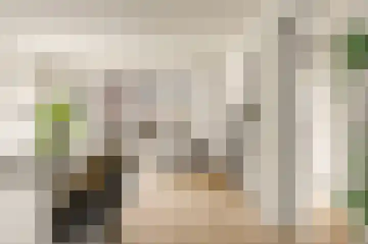 Witte de Withstraat 111 3 Amsterdam thumbnail 10