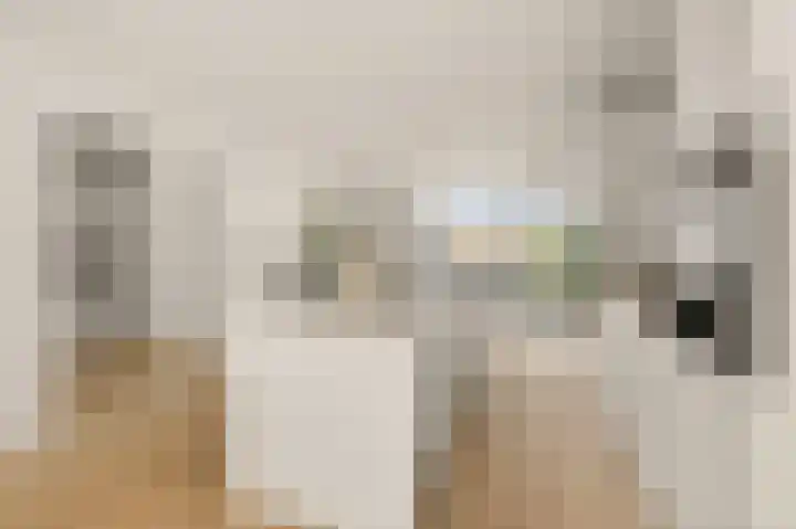 Witte de Withstraat 111 3 Amsterdam thumbnail 14
