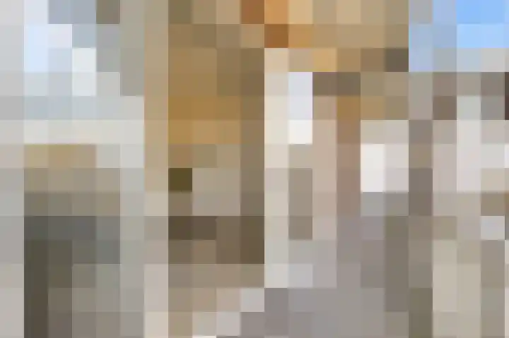 Witte de Withstraat 111 3 Amsterdam thumbnail 17