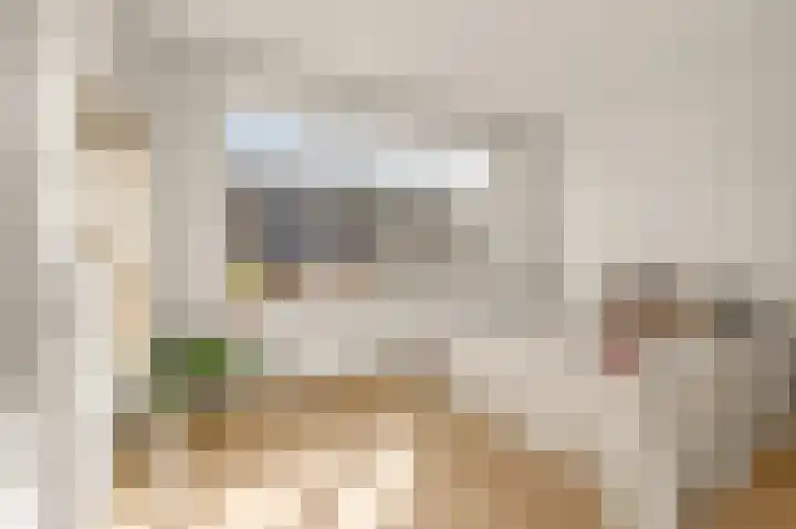 Witte de Withstraat 111 3 Amsterdam thumbnail 21