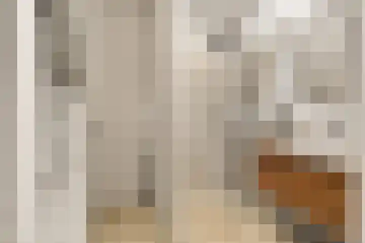 Witte de Withstraat 111 3 Amsterdam thumbnail 23