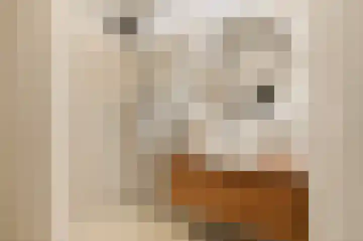 Witte de Withstraat 111 3 Amsterdam thumbnail 24