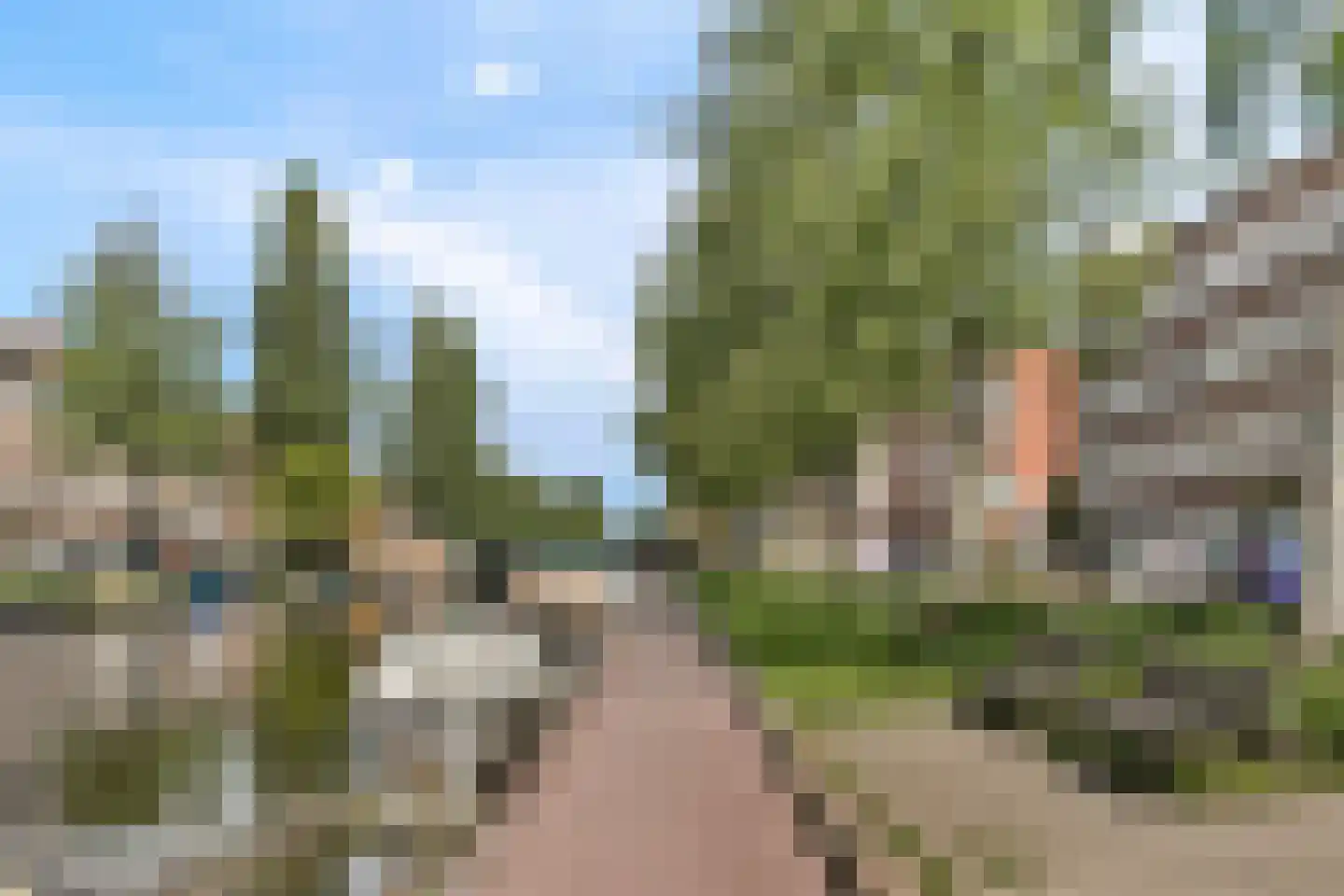 Witte de Withstraat 115 2 Amsterdam thumbnail 22