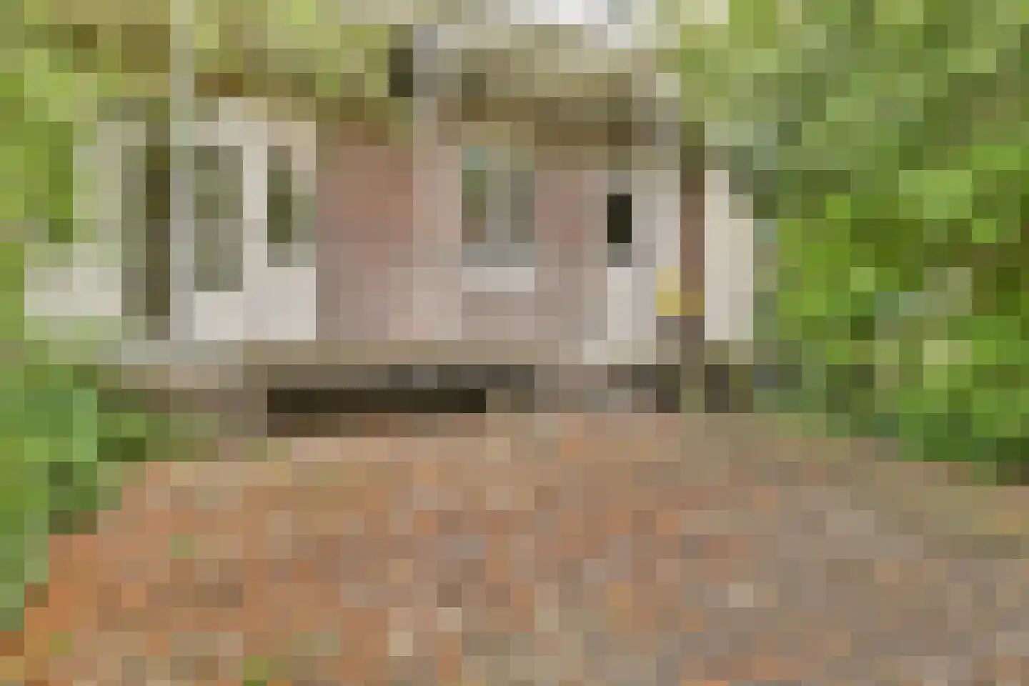 Witte de Withstraat 115 2 Amsterdam thumbnail 4