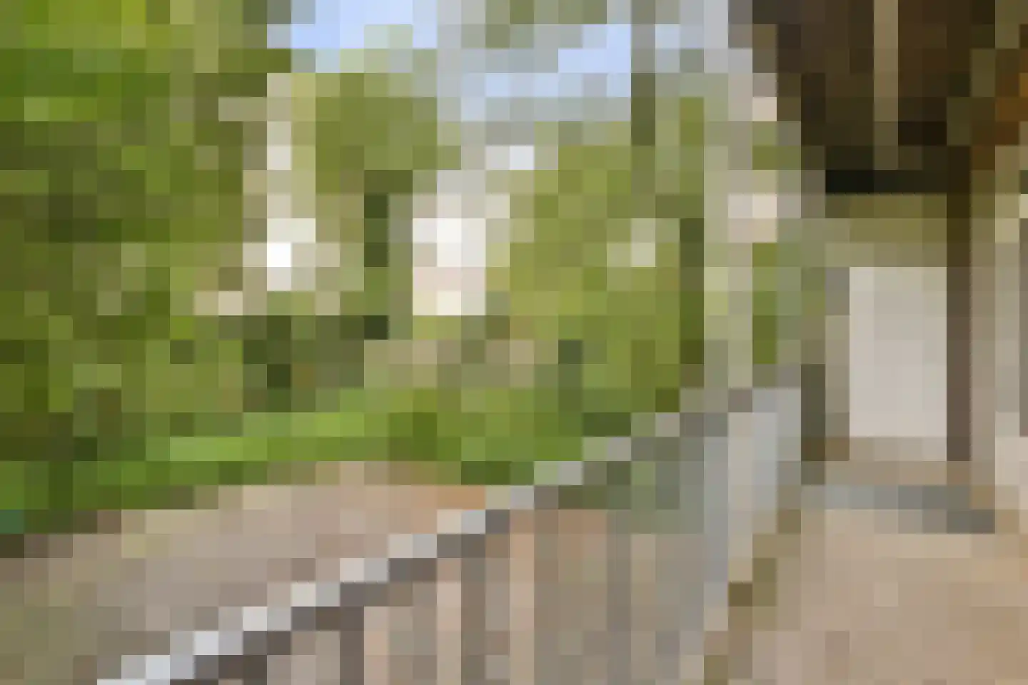 Witte de Withstraat 115 2 Amsterdam thumbnail 5