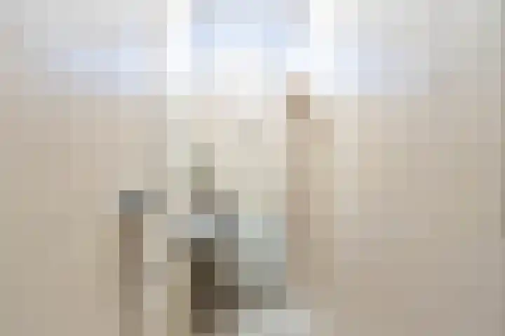 Witte de Withstraat 12 a Groningen thumbnail 23