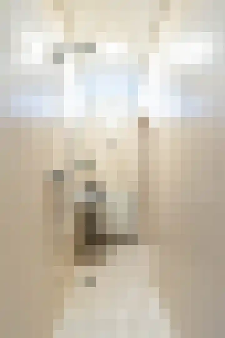 Witte de Withstraat 12 a Groningen thumbnail 24