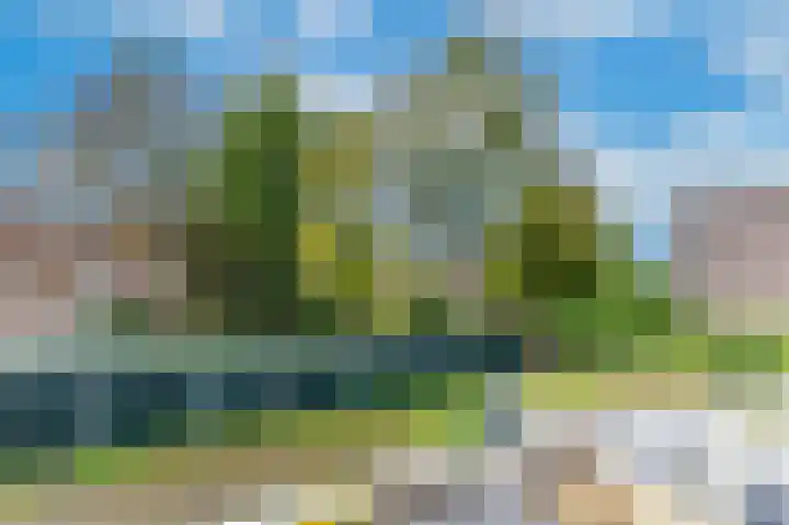 Witte de Withstraat 12 a Groningen thumbnail 30