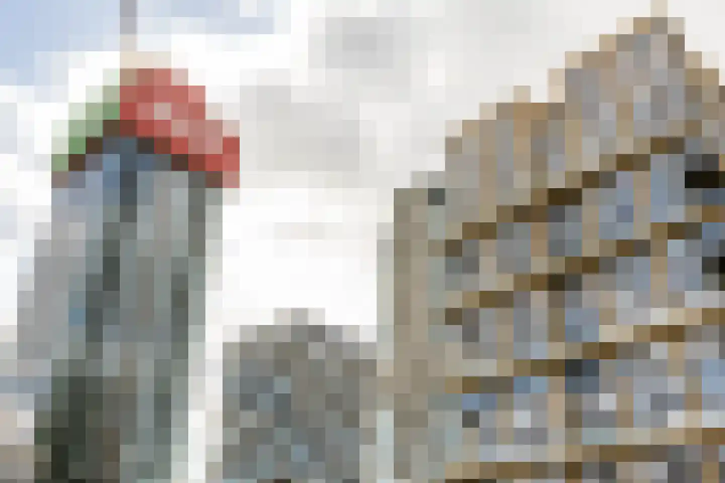 Witte de Withstraat 12 B Rotterdam thumbnail 22