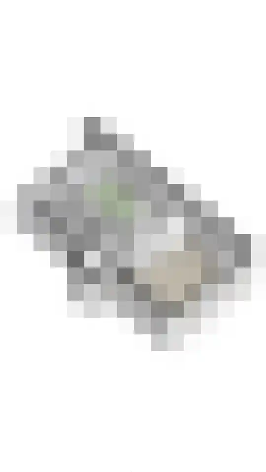 Witte de Withstraat 12 B Rotterdam thumbnail 27