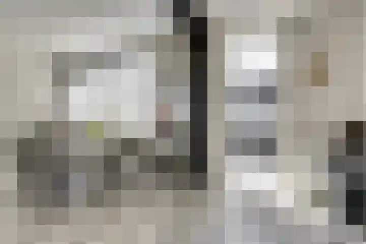 Witte de Withstraat 12 De Lier thumbnail 11