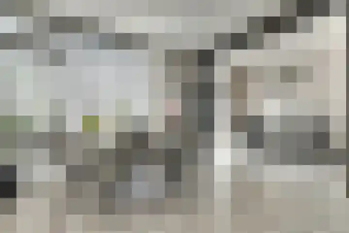 Witte de Withstraat 12 De Lier thumbnail 12