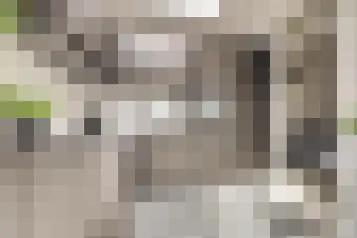Witte de Withstraat 12 De Lier thumbnail 13