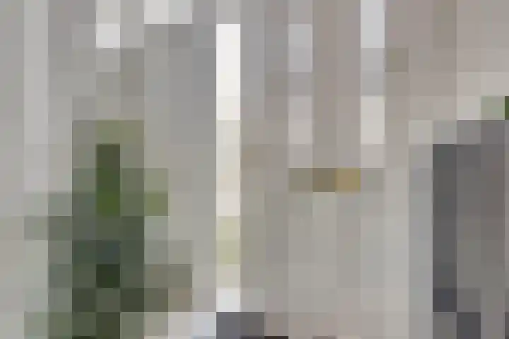 Witte de Withstraat 12 De Lier thumbnail 15