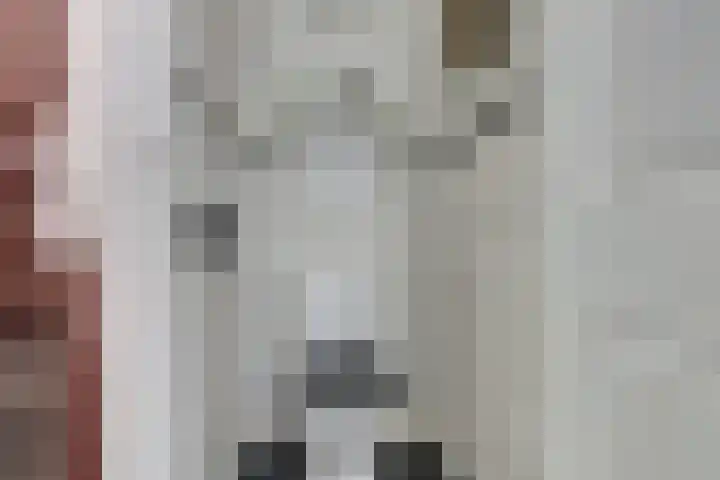 Witte de Withstraat 12 De Lier thumbnail 16