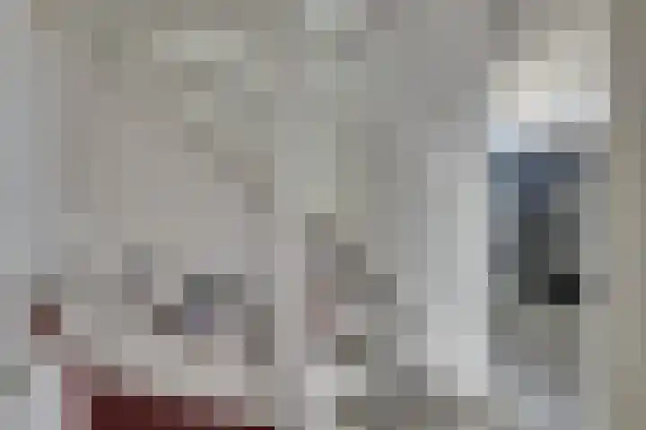 Witte de Withstraat 12 De Lier thumbnail 18