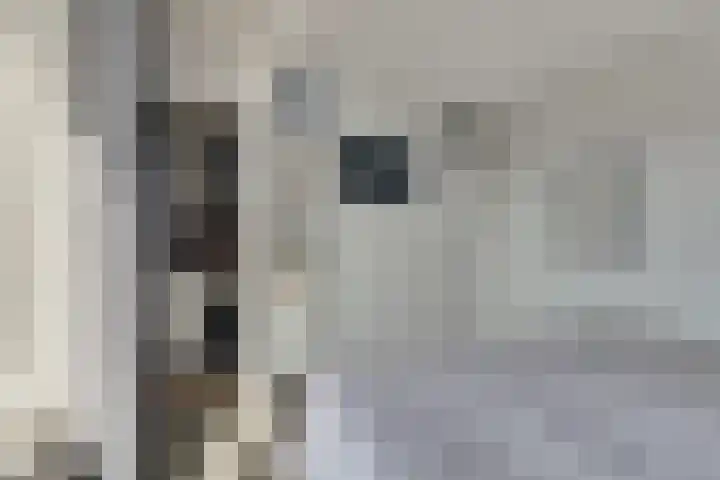Witte de Withstraat 12 De Lier thumbnail 20