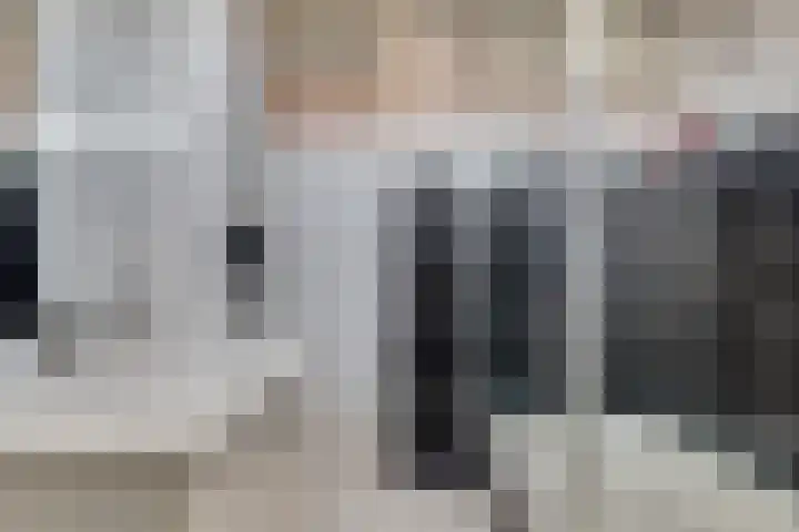 Witte de Withstraat 12 De Lier thumbnail 25