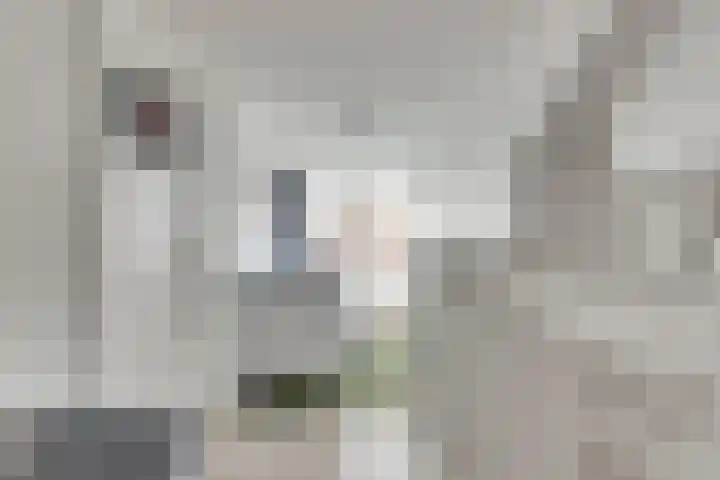 Witte de Withstraat 12 De Lier thumbnail 26