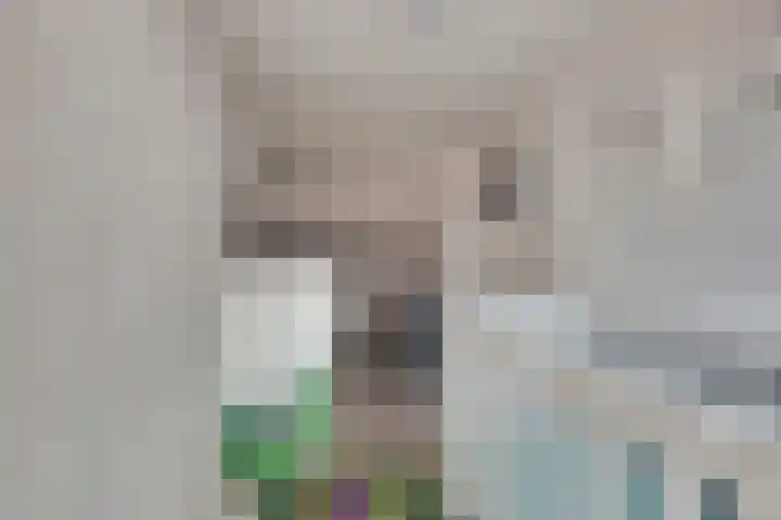 Witte de Withstraat 12 De Lier thumbnail 27