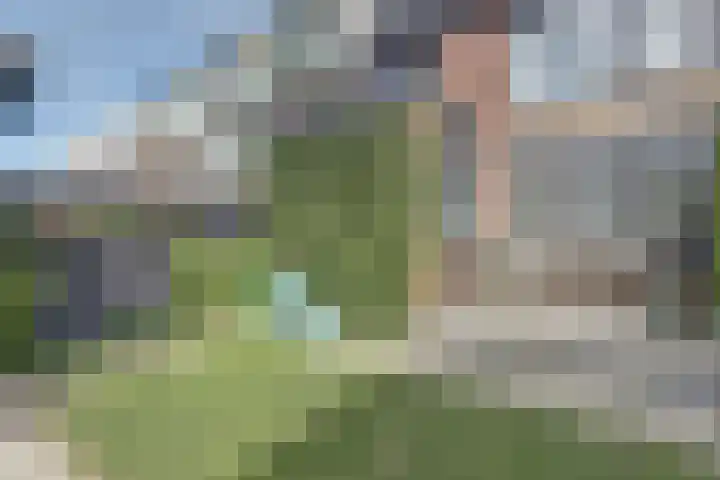 Witte de Withstraat 12 De Lier thumbnail 30