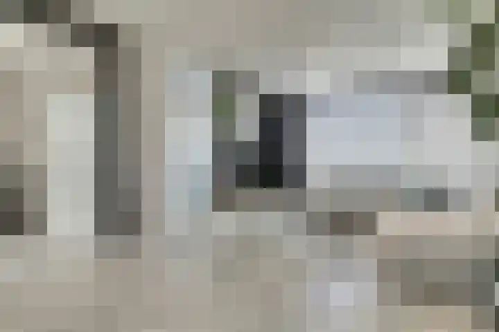 Witte de Withstraat 12 De Lier thumbnail 4