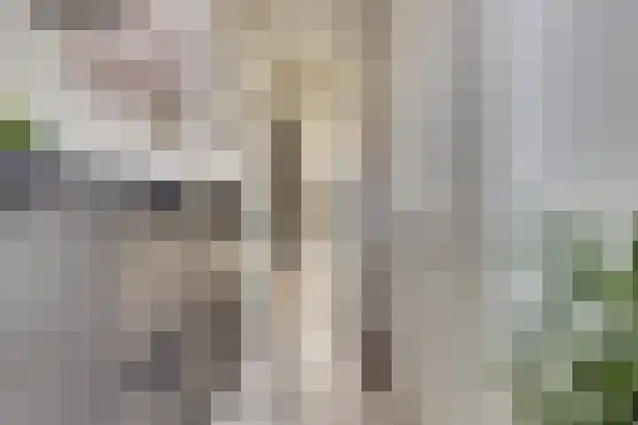 Witte de Withstraat 12 De Lier thumbnail 7