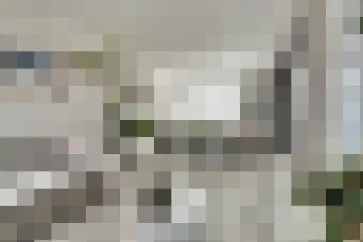 Witte de Withstraat 12 De Lier thumbnail 8