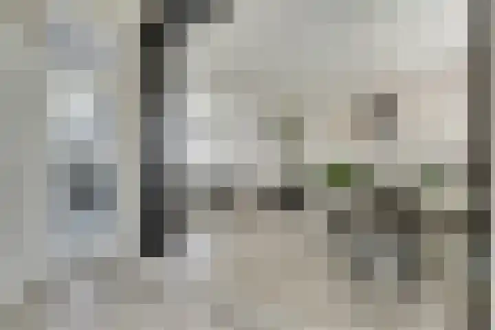 Witte de Withstraat 12 De Lier thumbnail 9