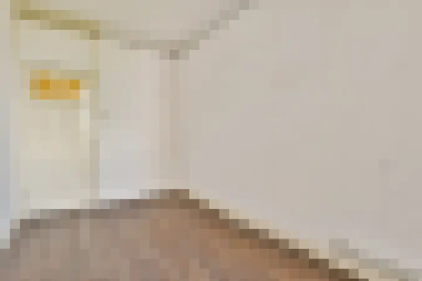 Witte de Withstraat 121 1 Amsterdam thumbnail 19