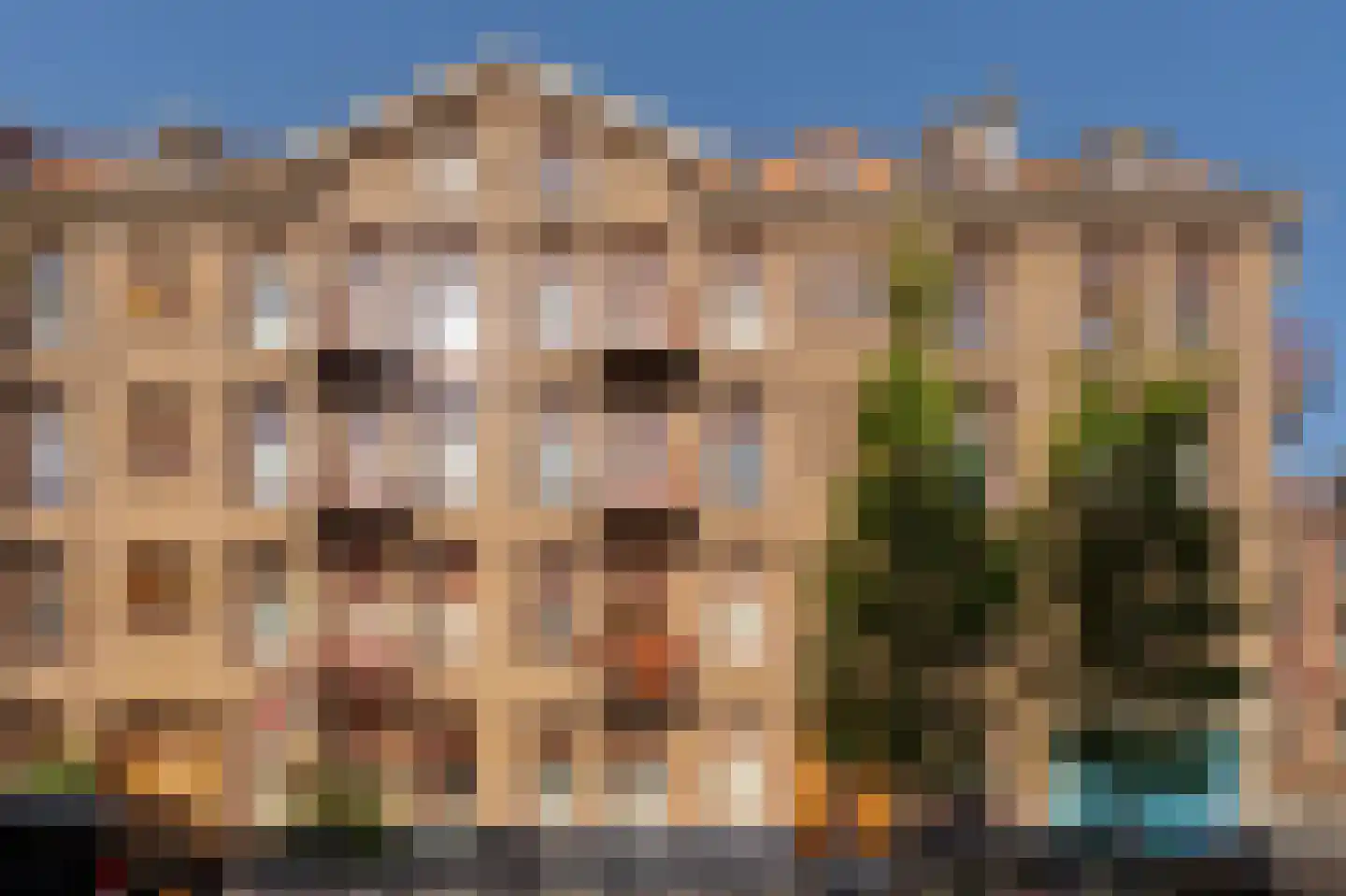 Witte de Withstraat 121 4 Amsterdam