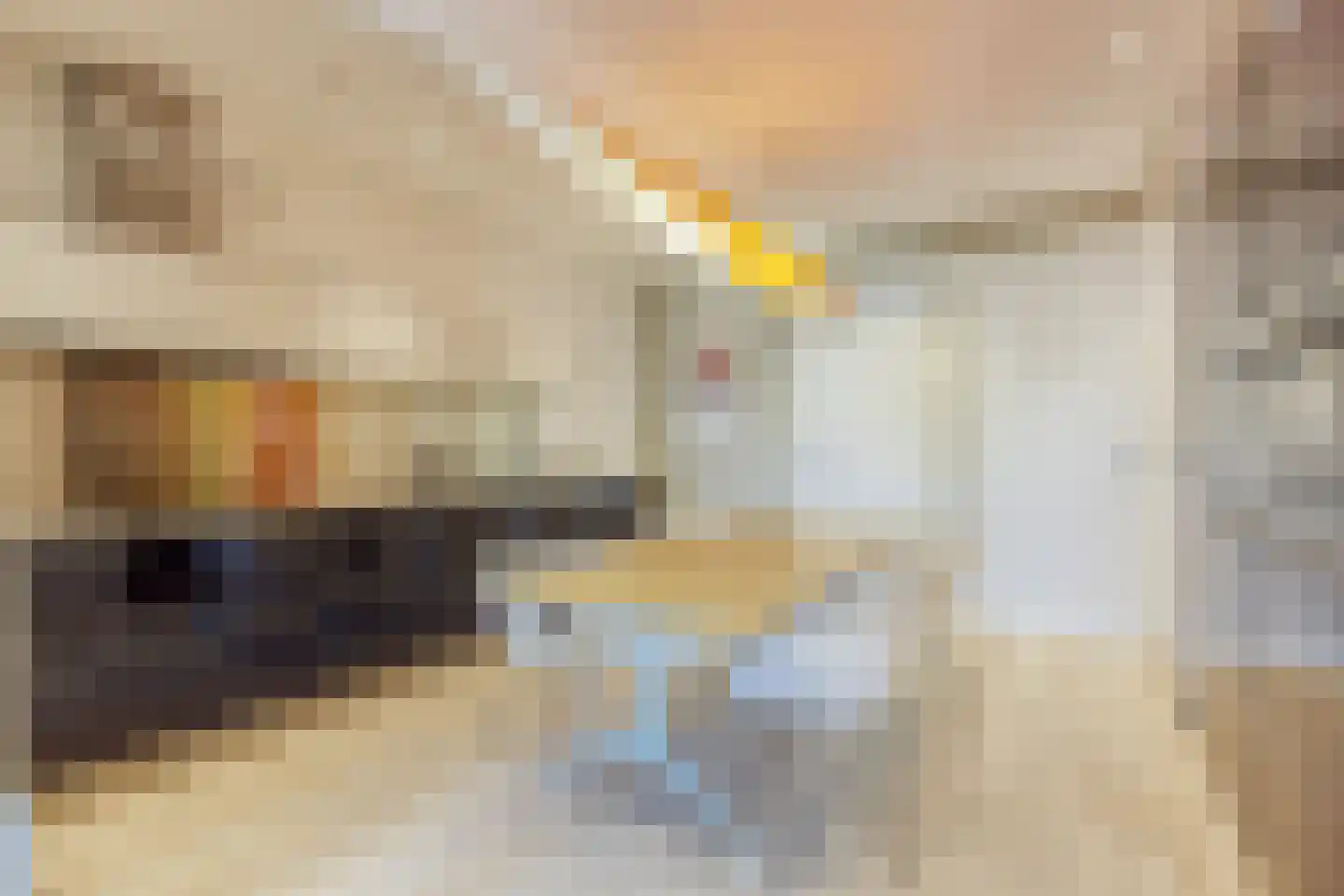 Witte de Withstraat 123 Den Haag thumbnail 10