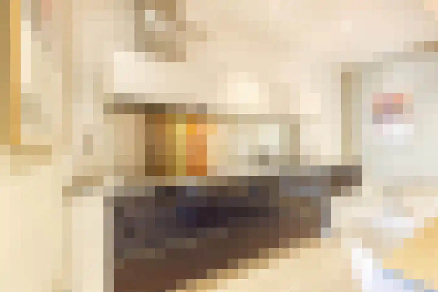 Witte de Withstraat 123 Den Haag thumbnail 12