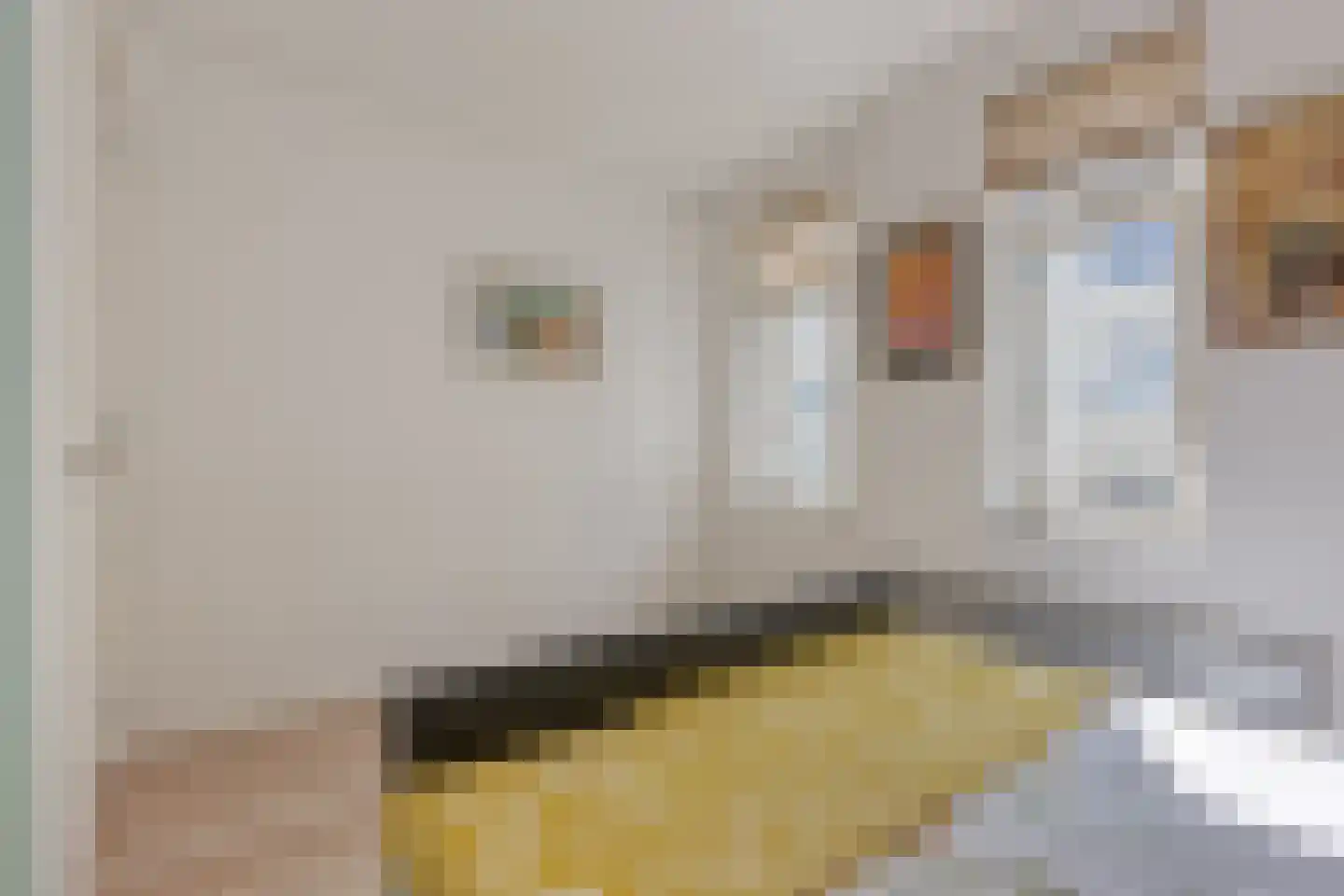 Witte de Withstraat 123 Den Haag thumbnail 19