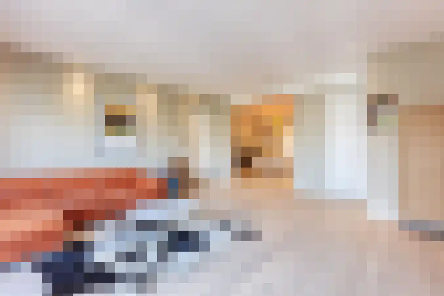 Witte de Withstraat 123 Den Haag thumbnail 4